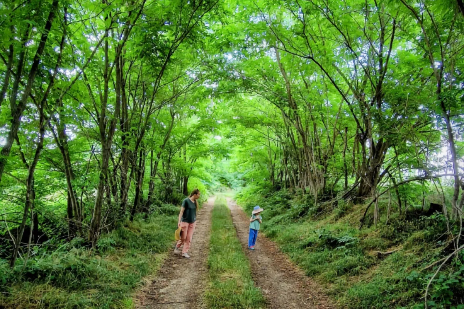 Gite Bourgogne rust & natuur-Areas summer 5km