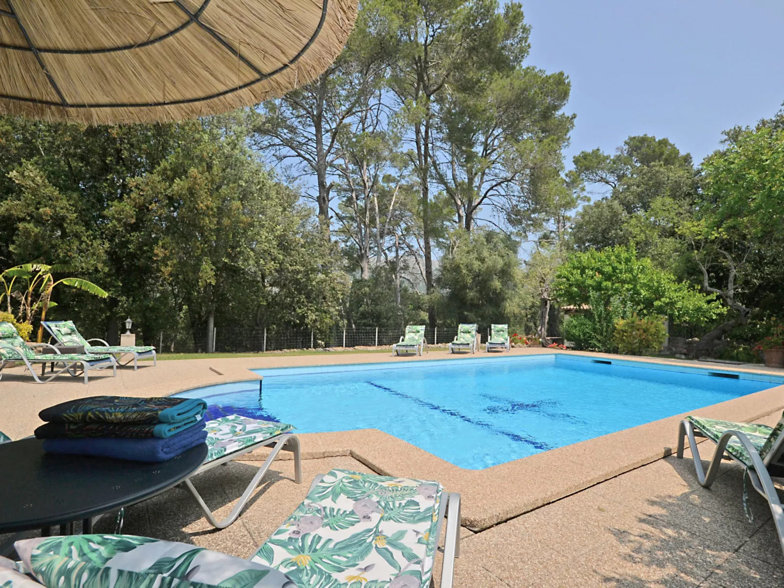 Ca na rossa - Dehors