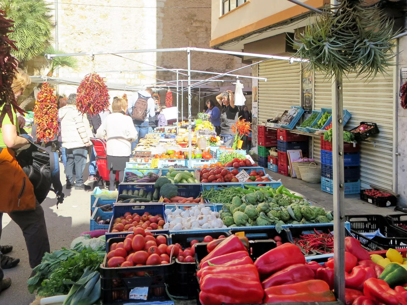 Bennassar - Umgebung