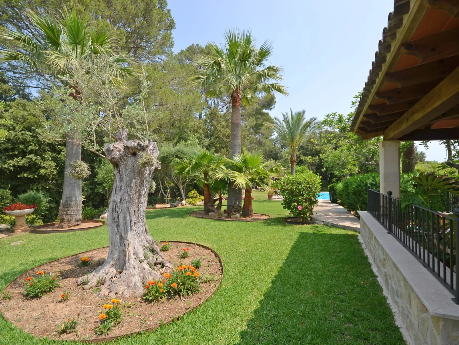 Ca na rossa - Dehors