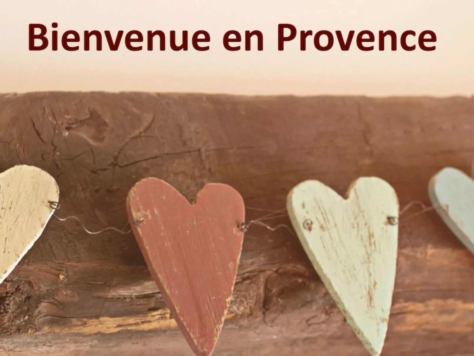 LA VOLIERE - Dehors