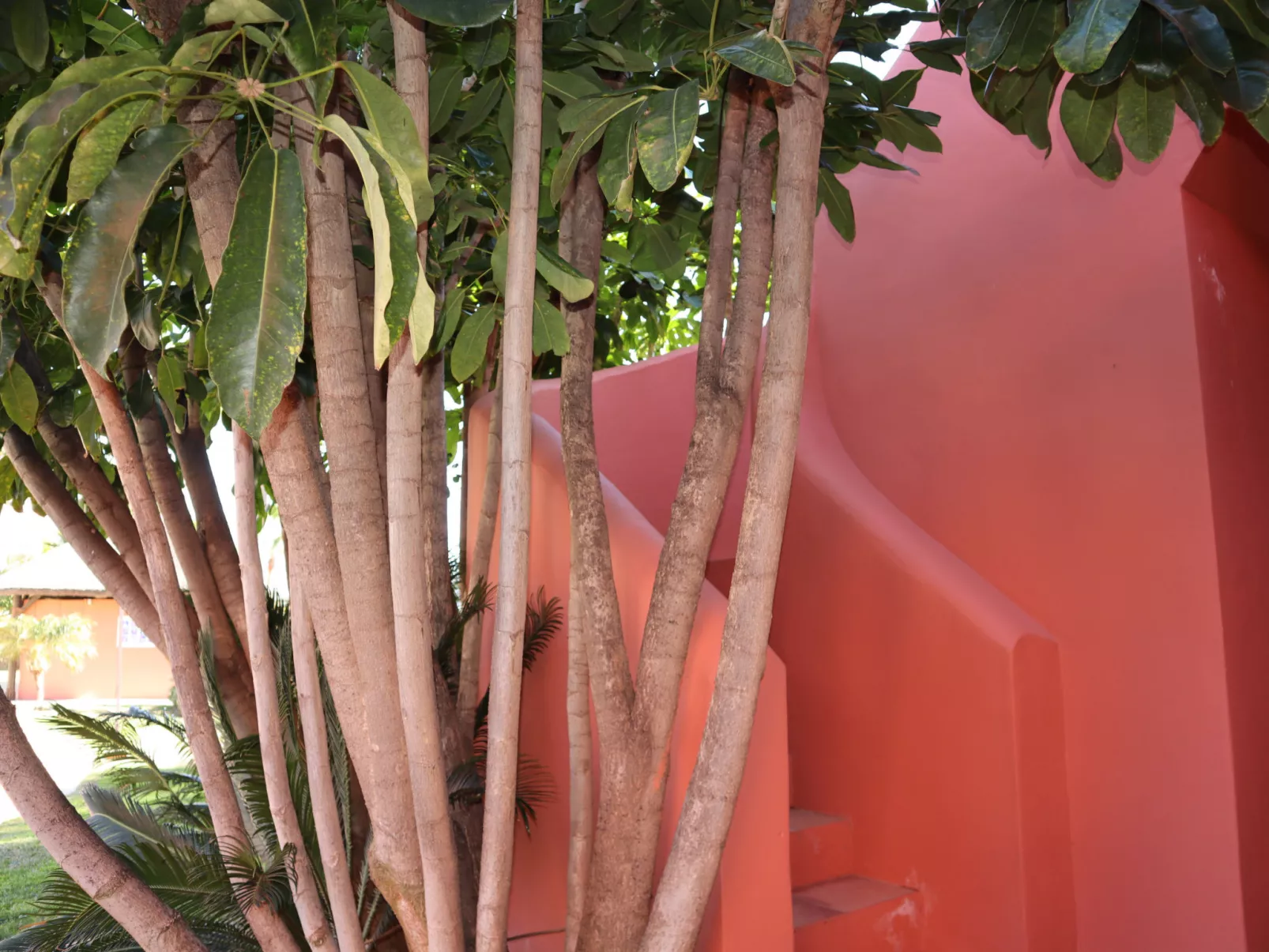 Penthouse Luxury Faro by Casasol - Draußen