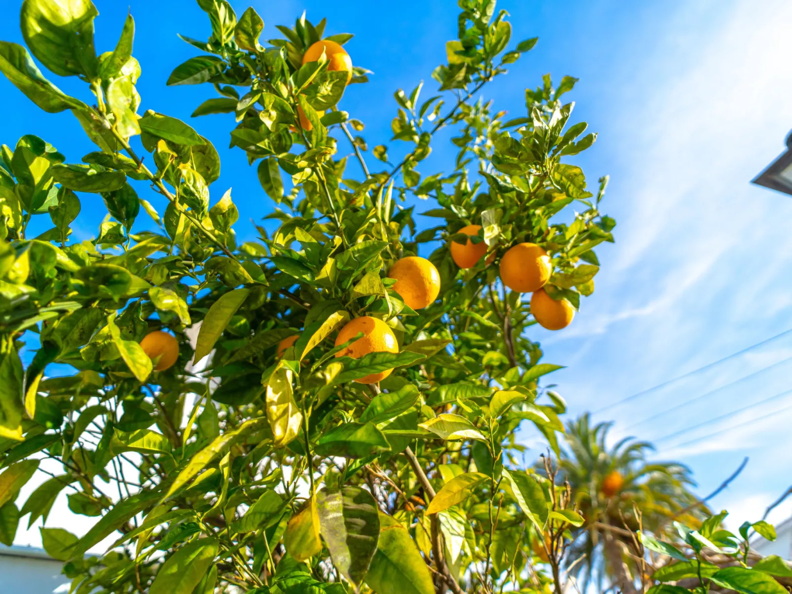 Villa Grande Luxe Private Pool by Casasol - Draußen
