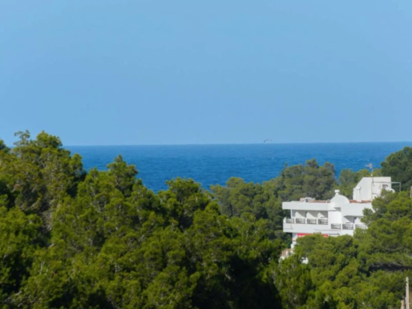 VILLA CAS PUIG - Draußen