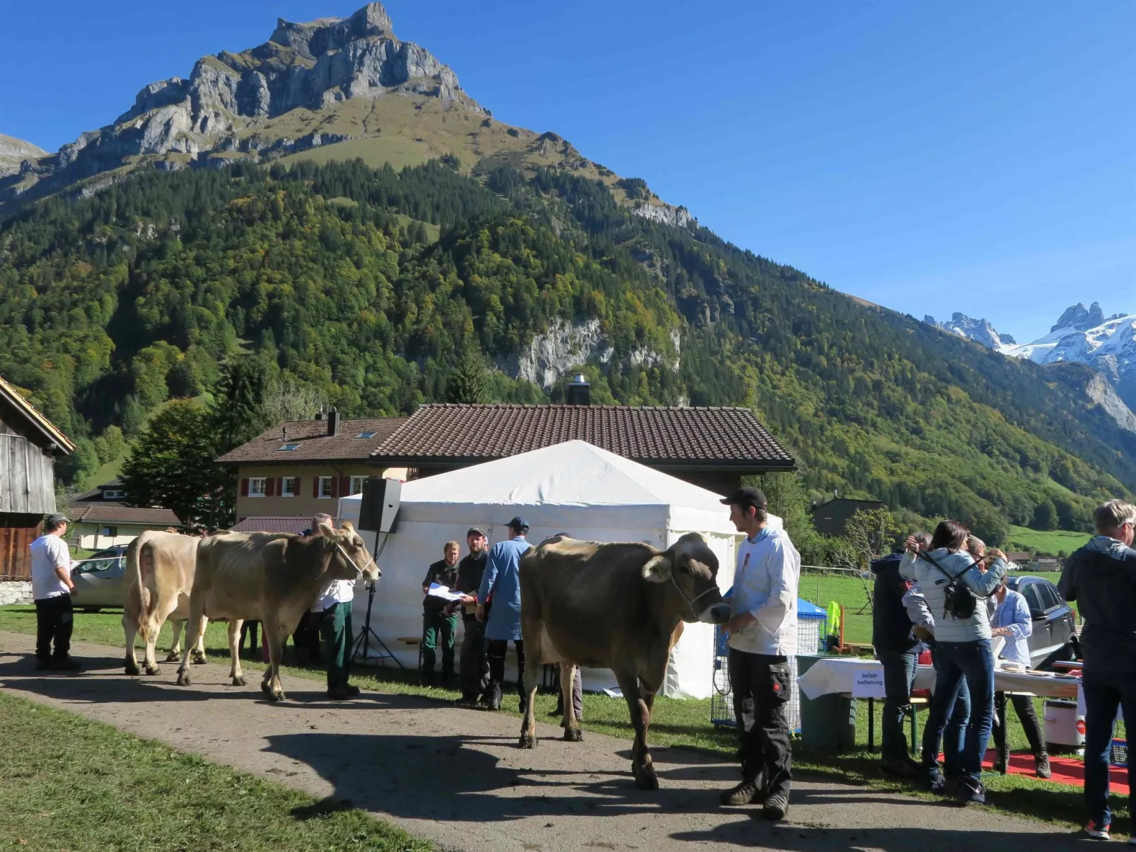 Chalet Heureka-Horbis - Dedans