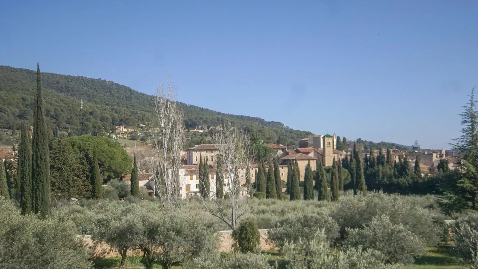La Truffe-Areas within 1km in summer