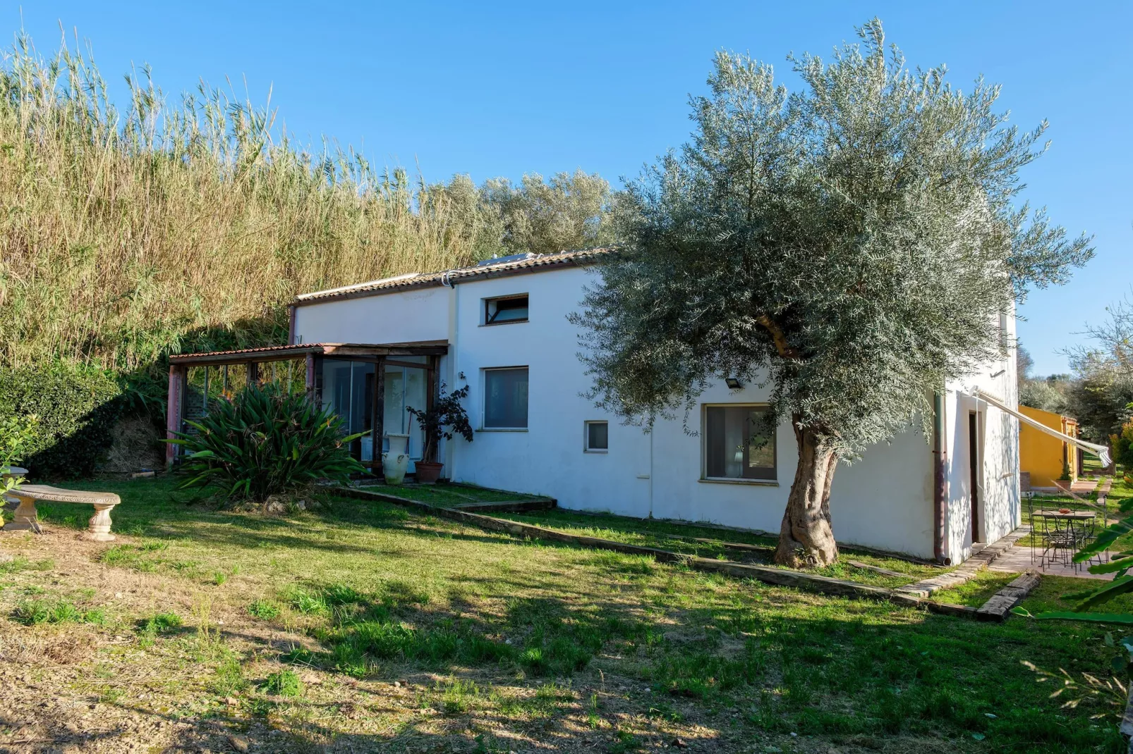 Sogno di Giove Casa Venere
