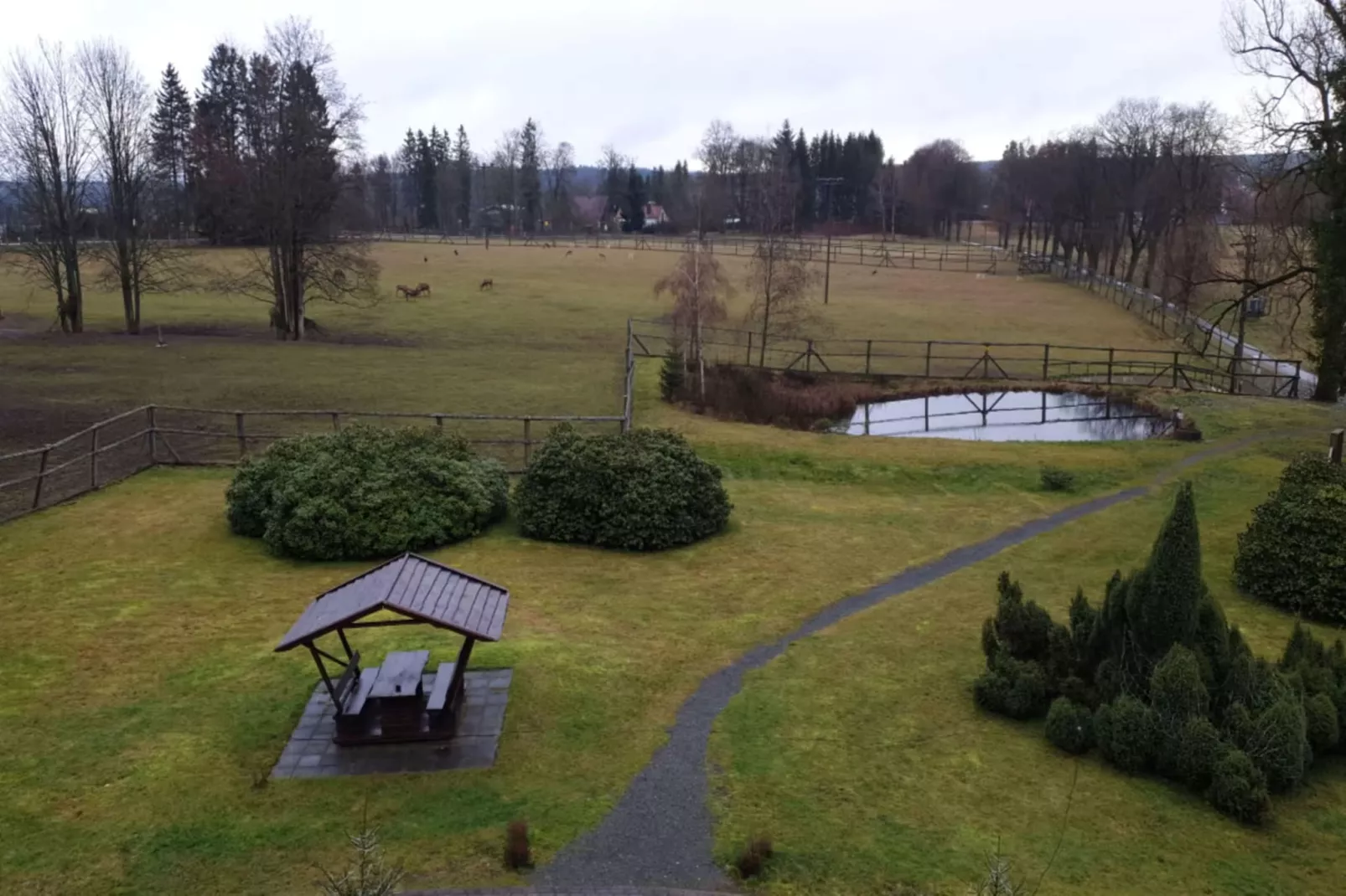 Hotel Harzhaus - Ferienhaus 1 - Gardens in summer