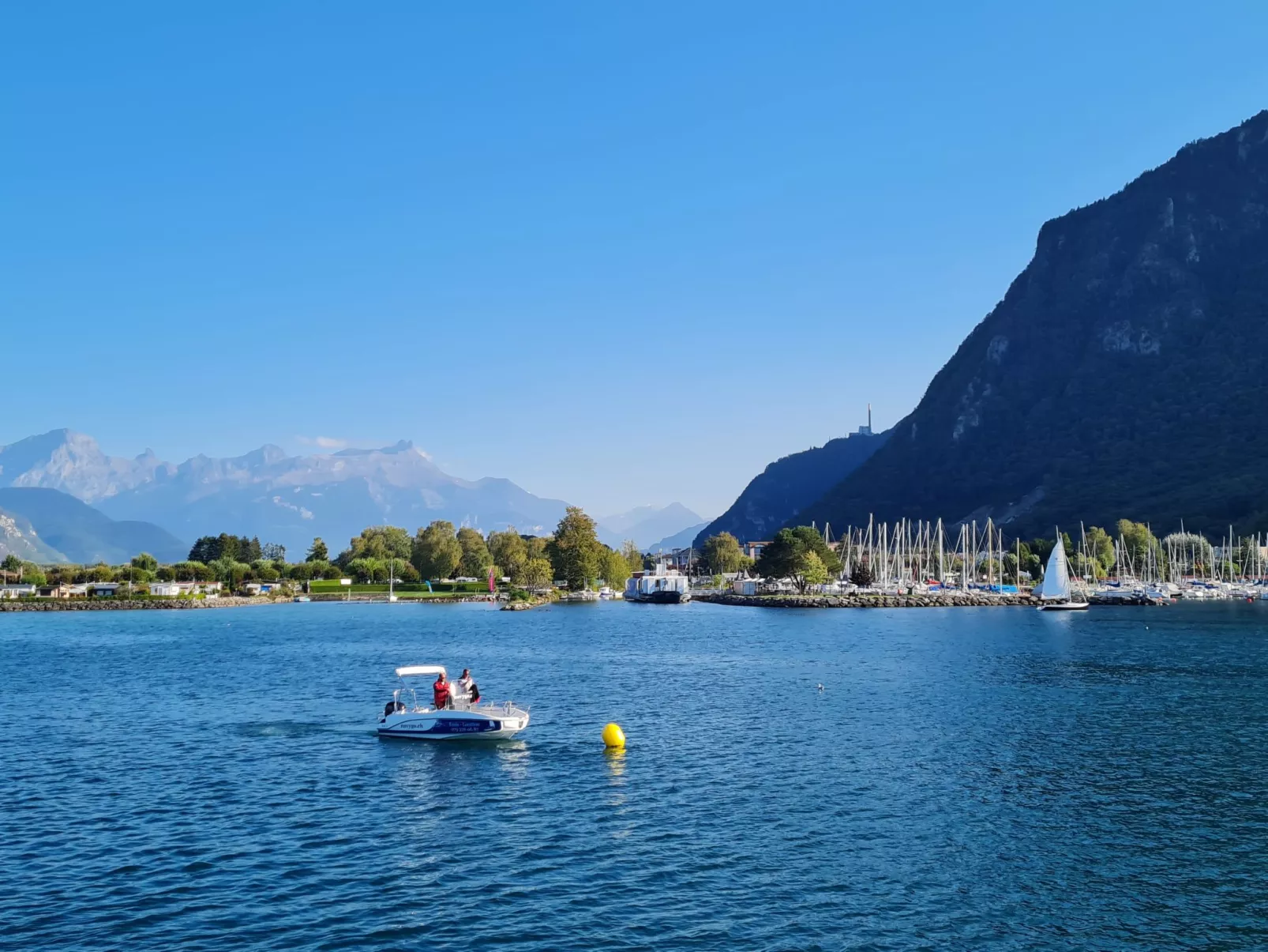 La Maison des Palmiers - Area
