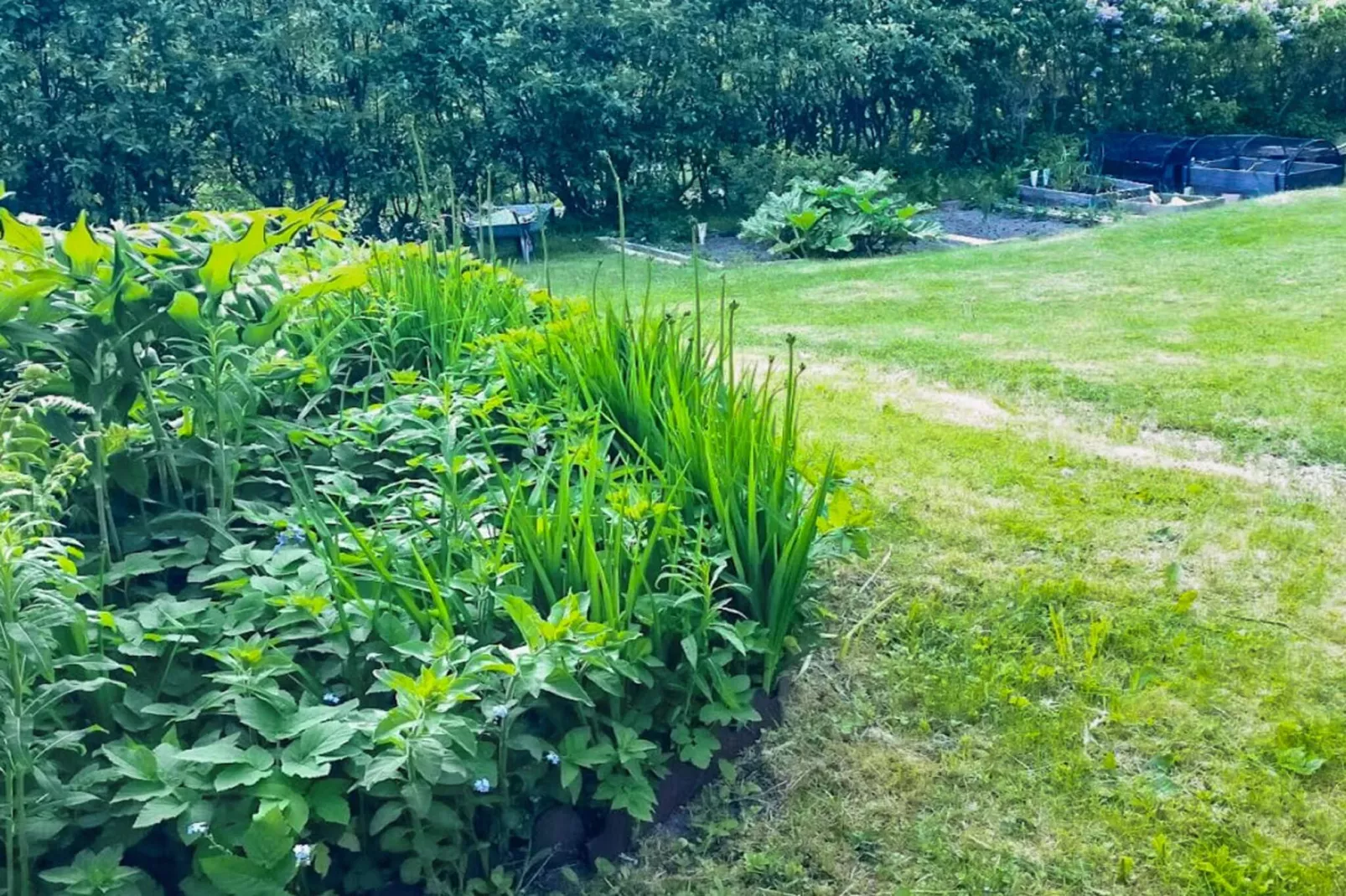 4 star holiday home in KÄRNA - Outdoor