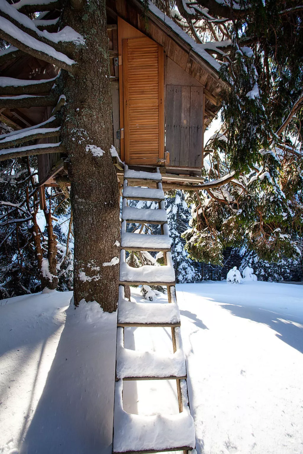 Chalet Alpinka-Outside