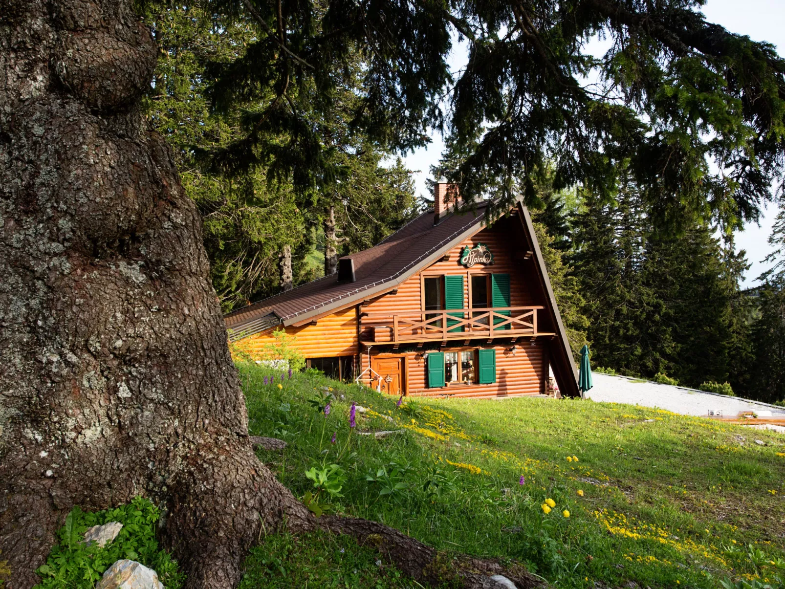 Chalet Alpinka-Outside