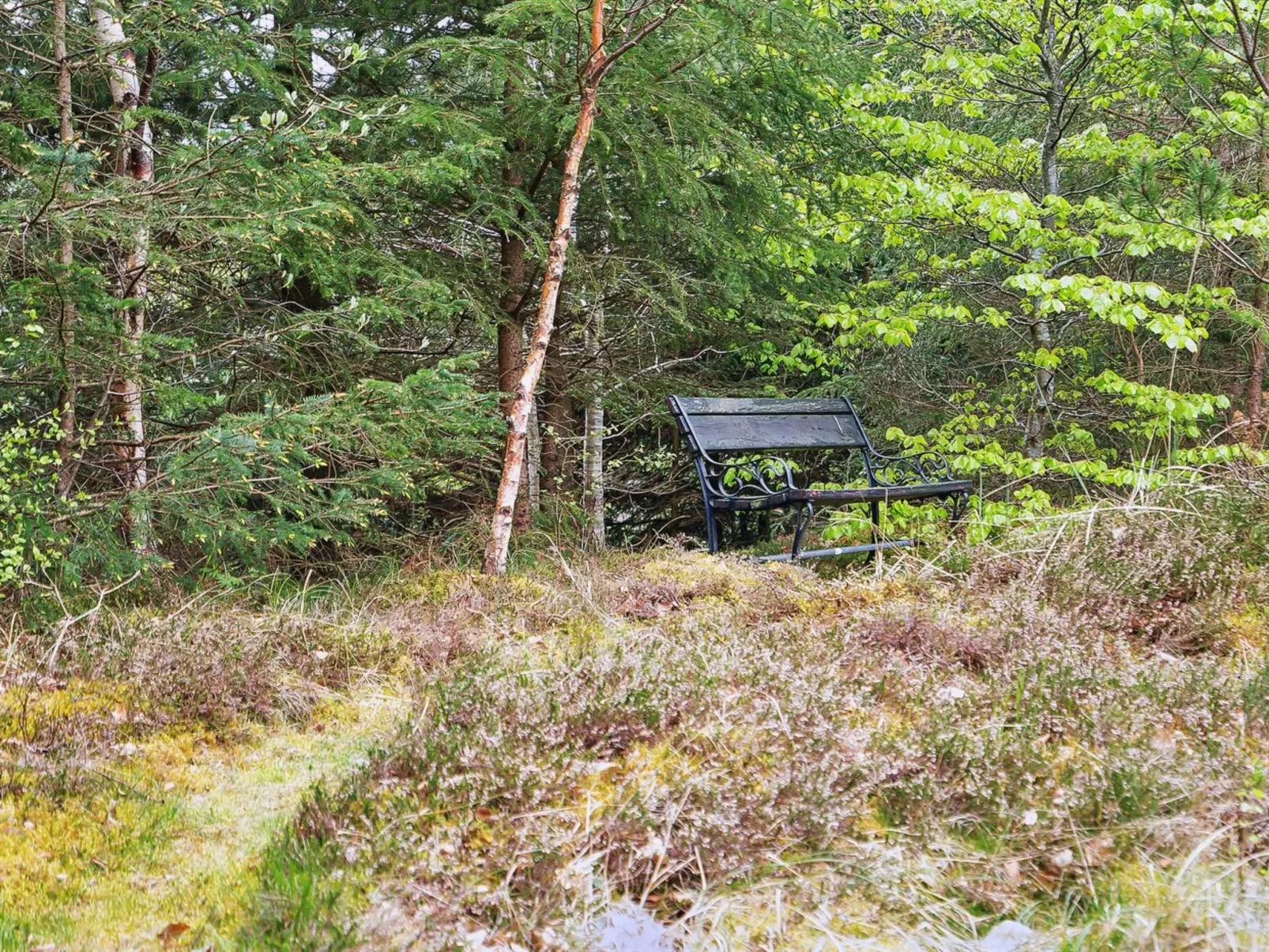 "Seraphina" - 2km from the sea - Outside