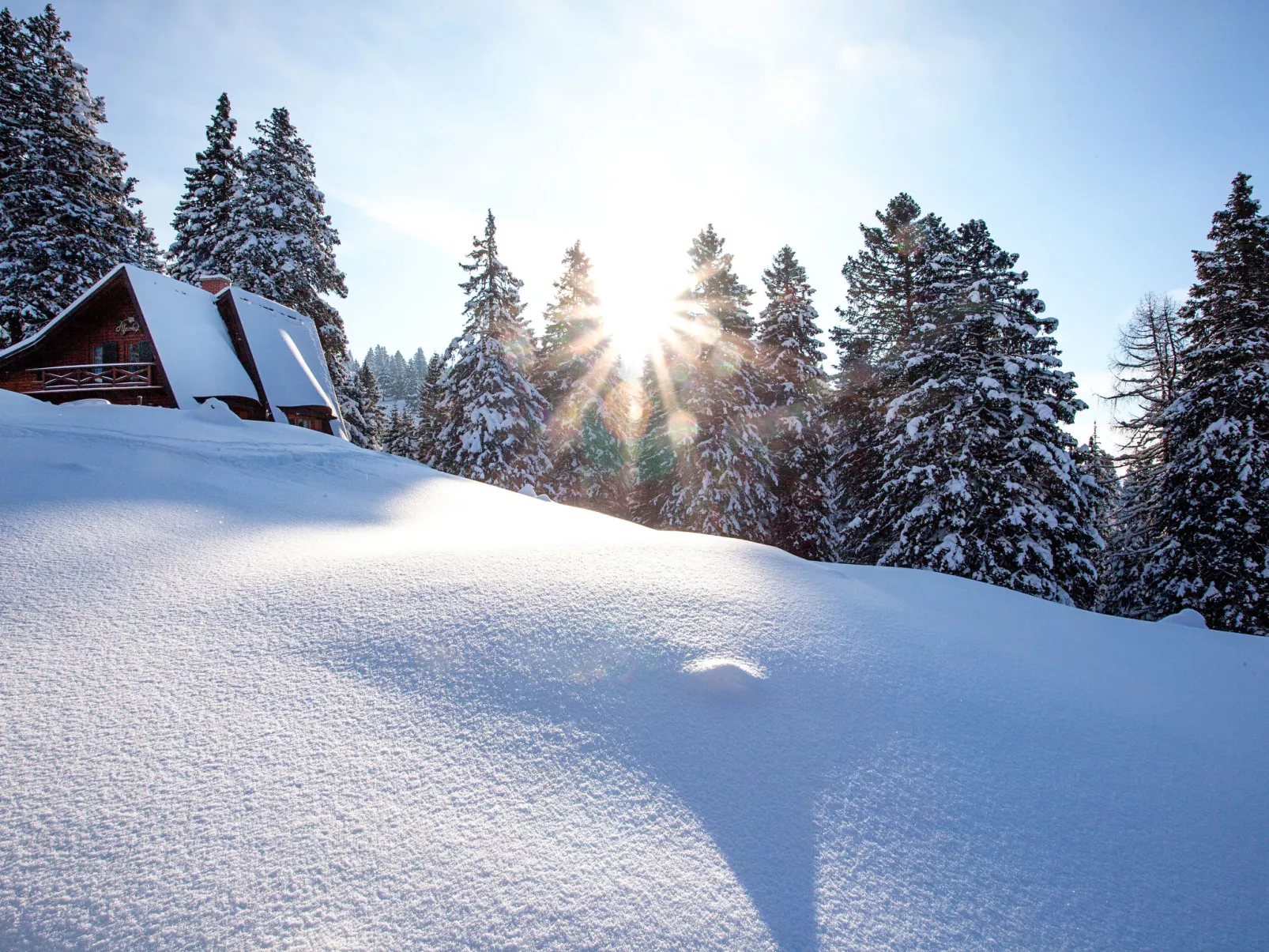 Chalet Alpinka-Outside