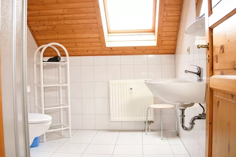 Ferienhaus in Hasselfelde - Haus 33 Blauvogel - Badezimmer