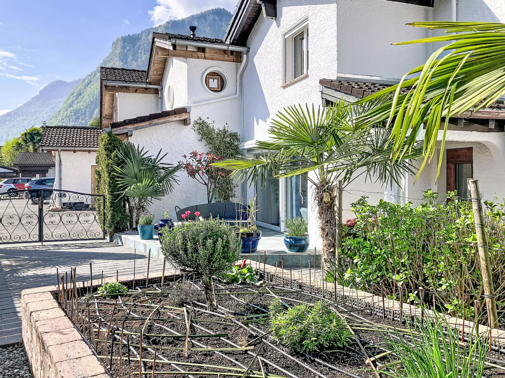 La Maison des Palmiers - Outside