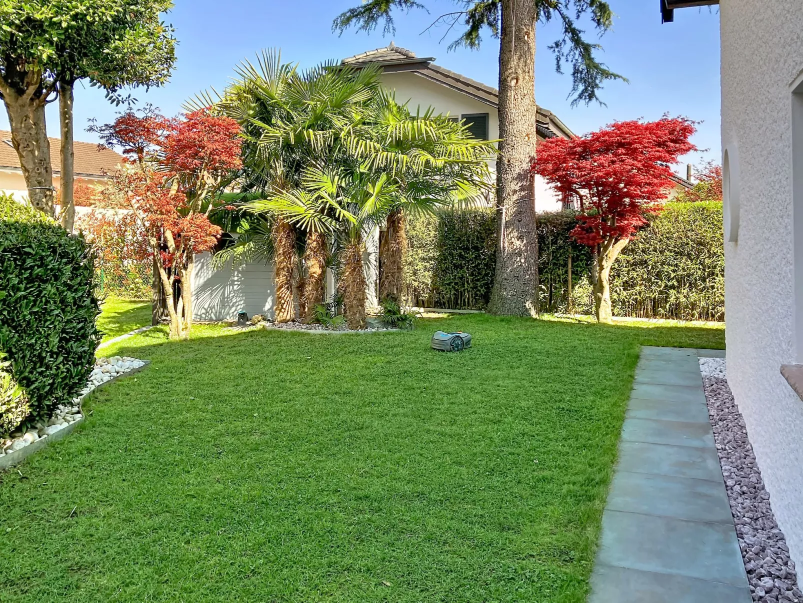 La Maison des Palmiers - Outside