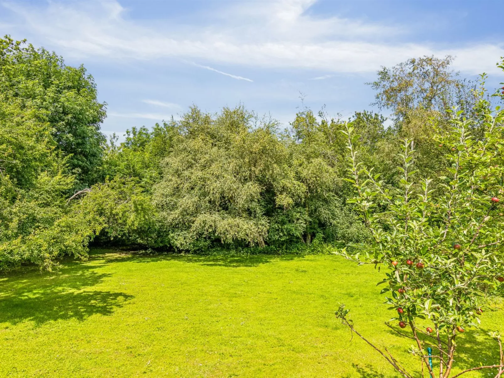 "Niela" - 700m from the sea - Draußen