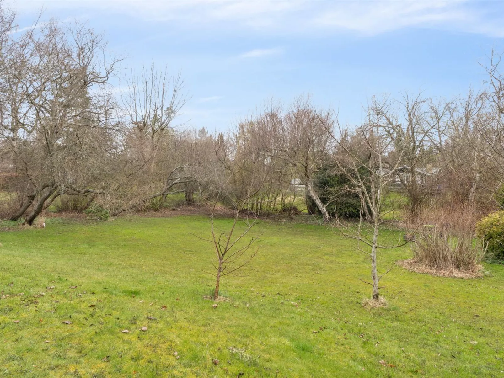 "Niela" - 700m from the sea - Draußen