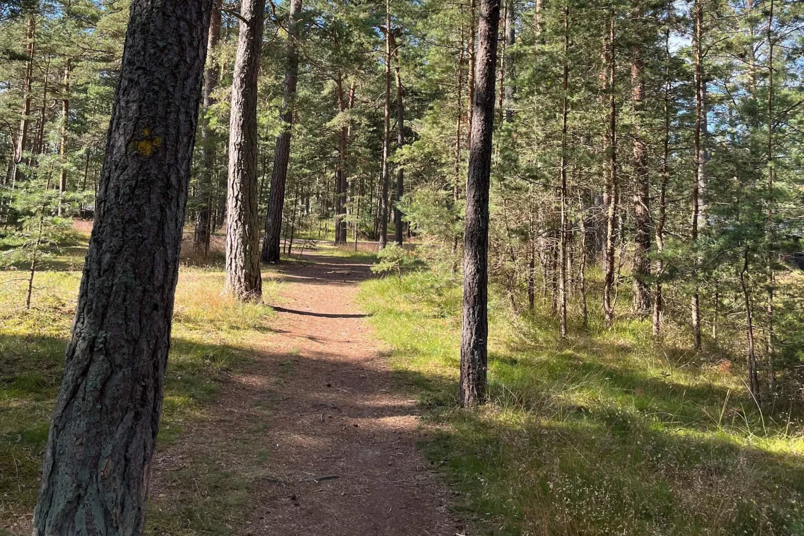 4 Personen Ferienhaus in YNGSJÖ - Nicht zugeordnet