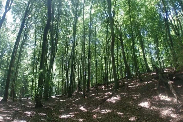 Apartament z tarasem Wisełka  Lew 2 I piętro - Gebiete Sommer 1 km