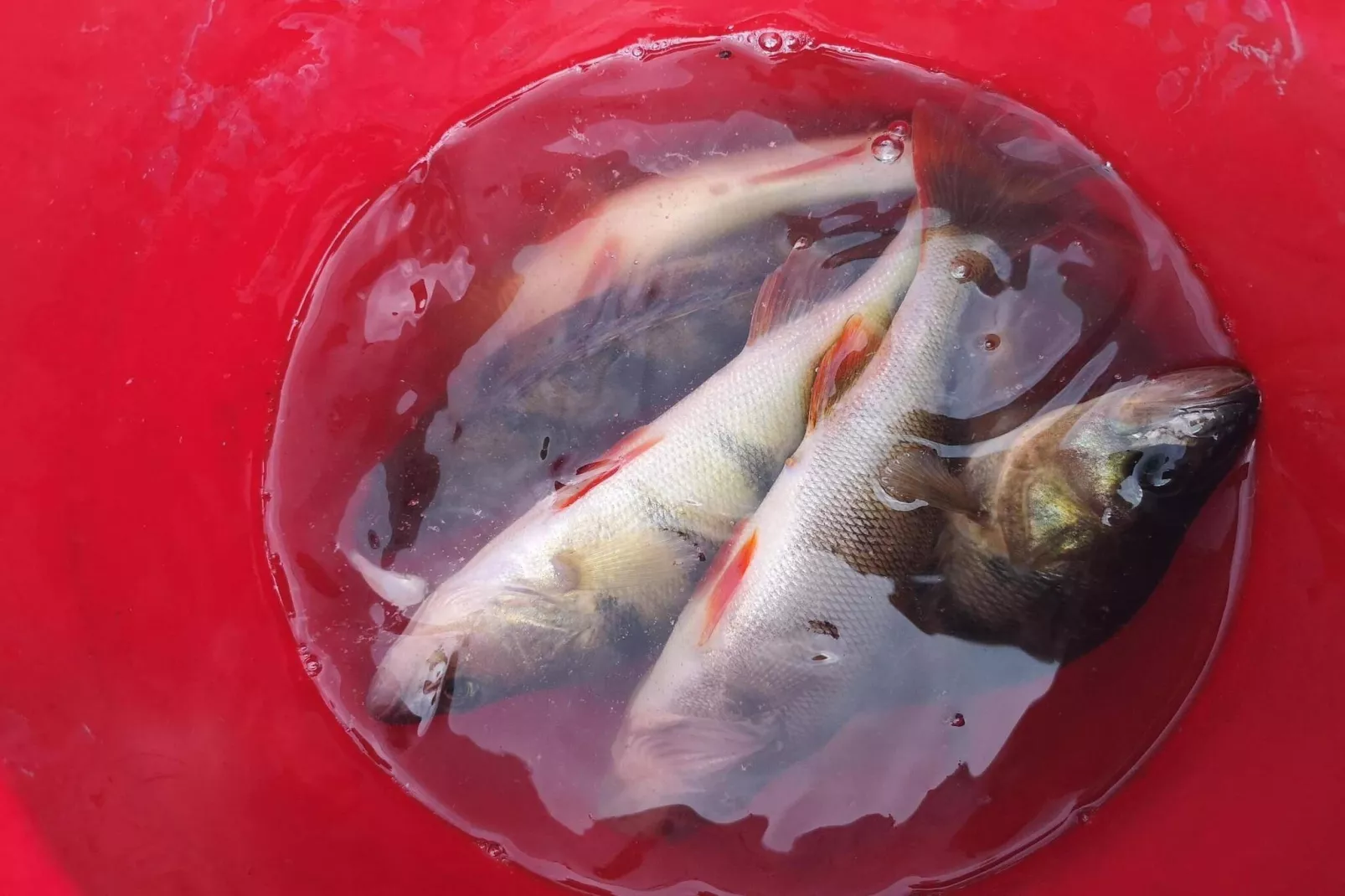 4 star holiday home in Trollhättan - Outdoor