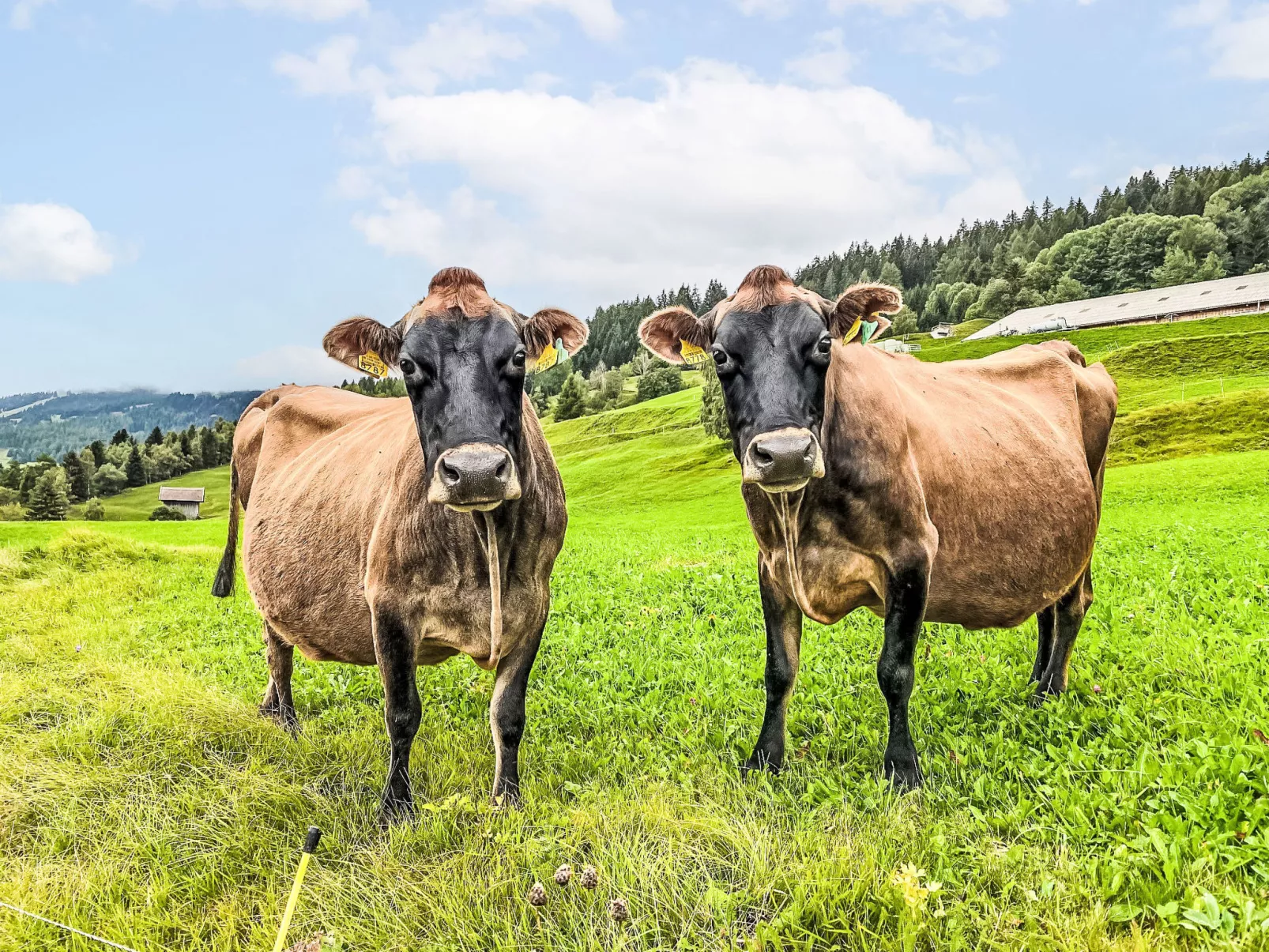 Toissa A6 - Draußen