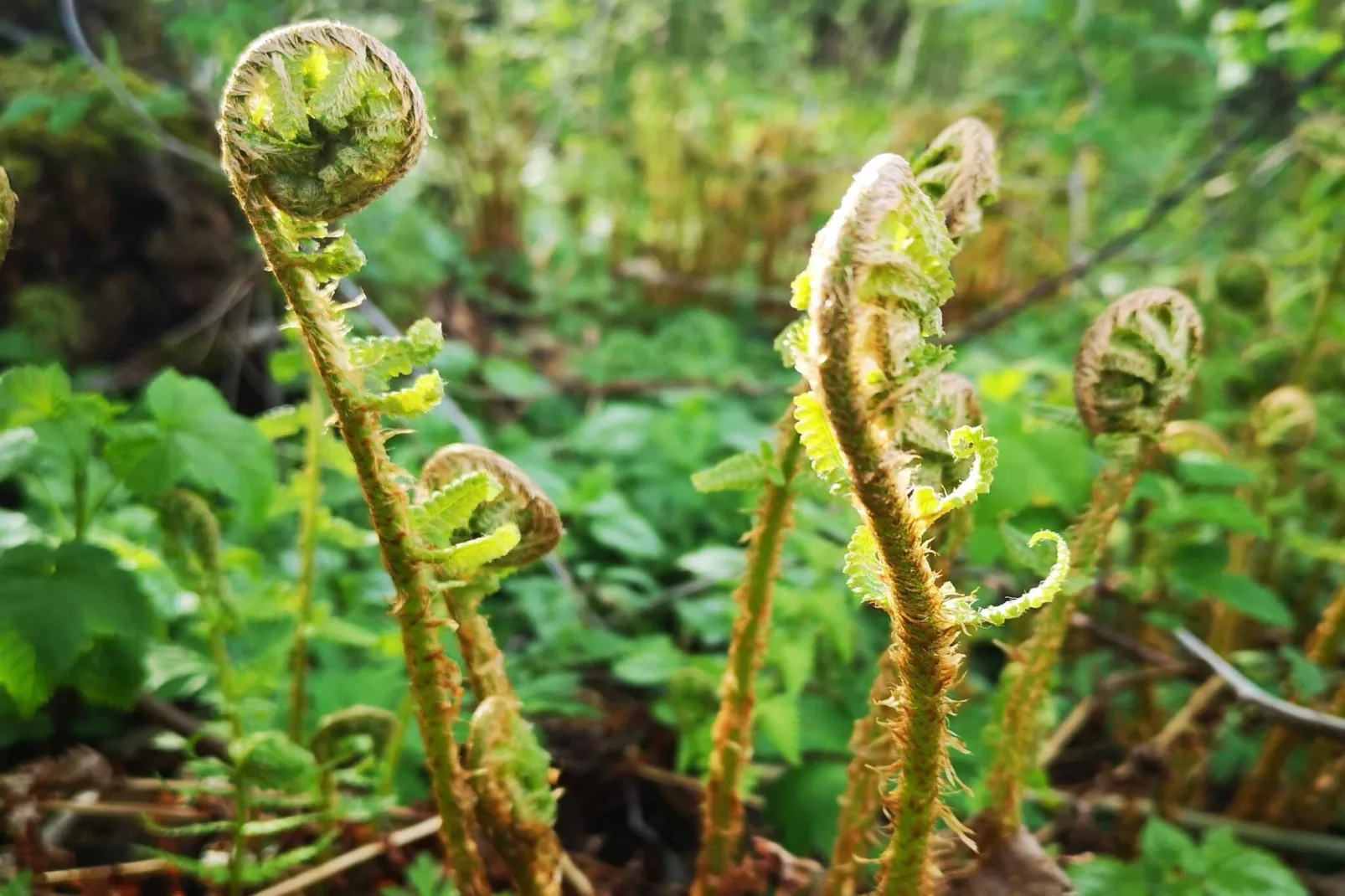 4 star holiday home in Trollhättan - Outdoor