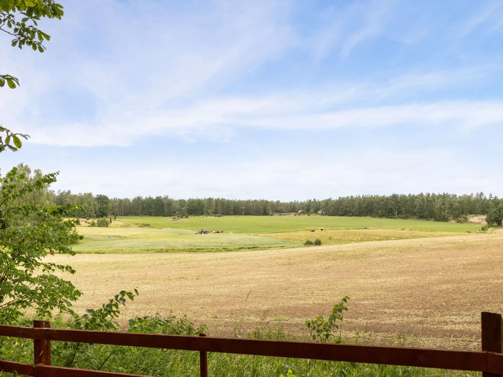 Skogstorpet-Outside