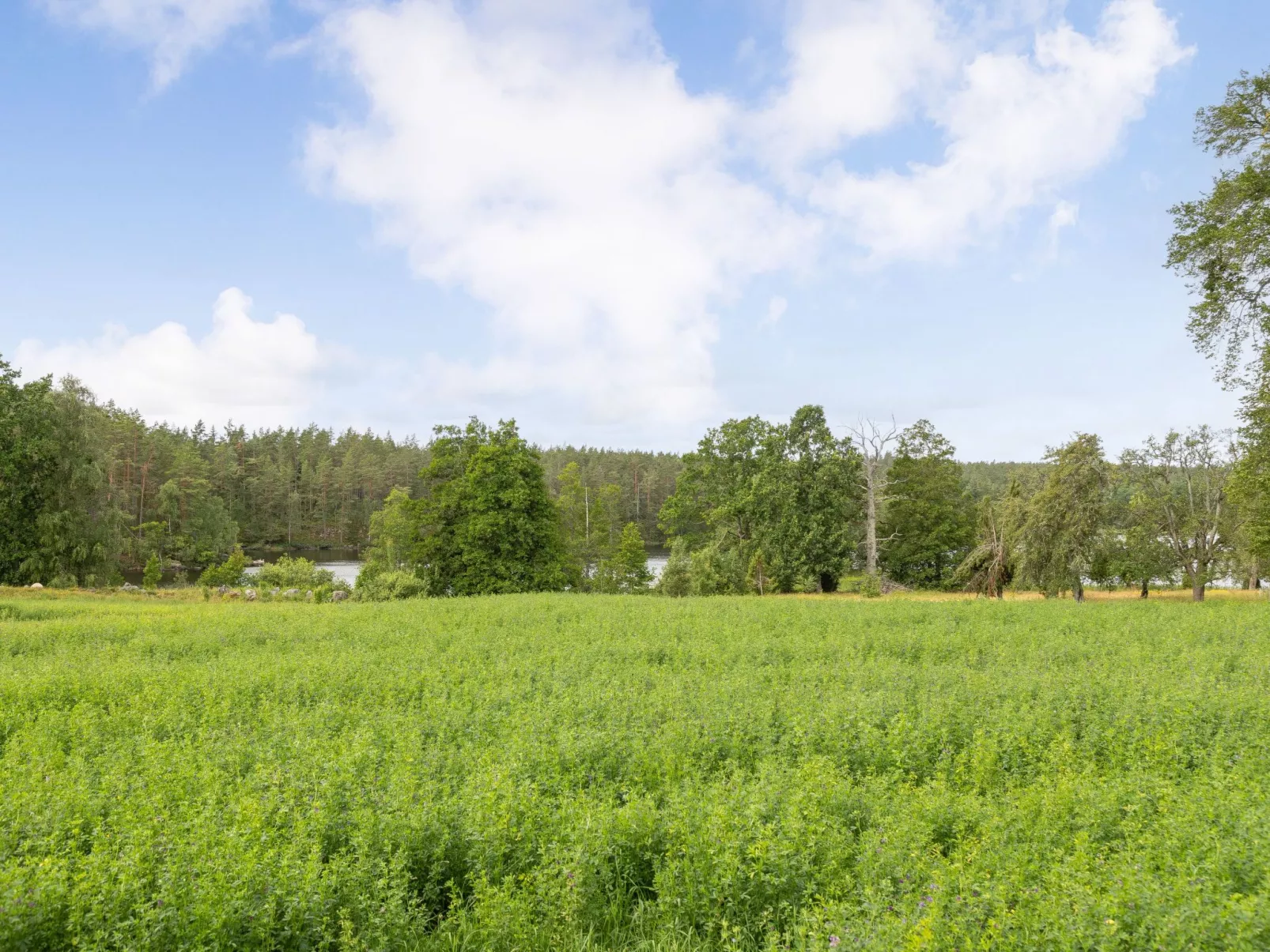 Skogstorpet-Outside