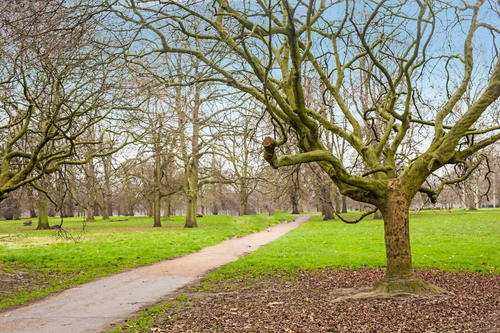 Deluxe Twin Room - Jardins en été