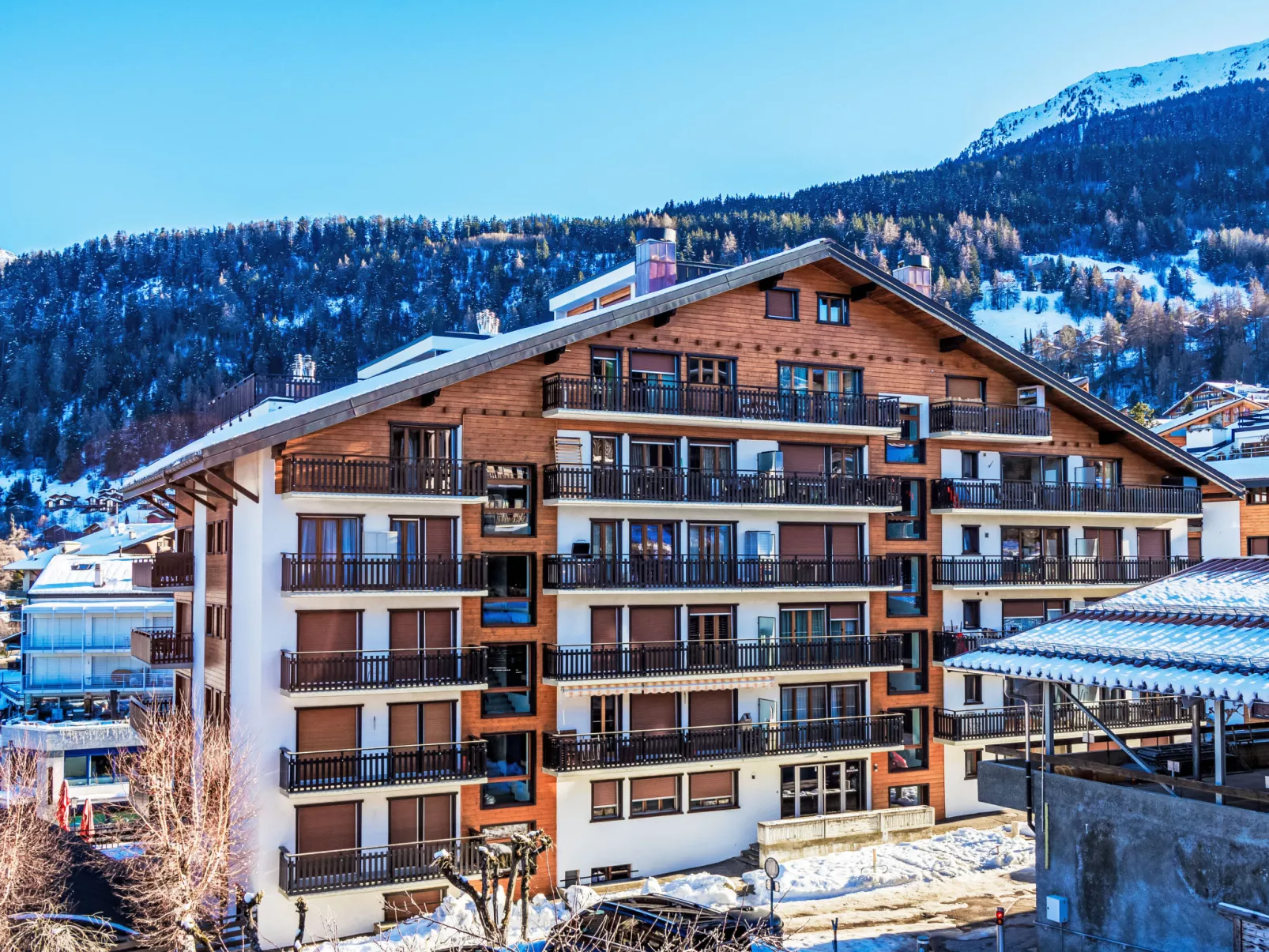 Bouleaux A0 - Outside