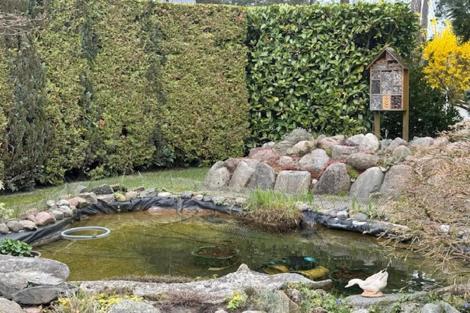 Doppelhaushälfte links - Gardens in summer