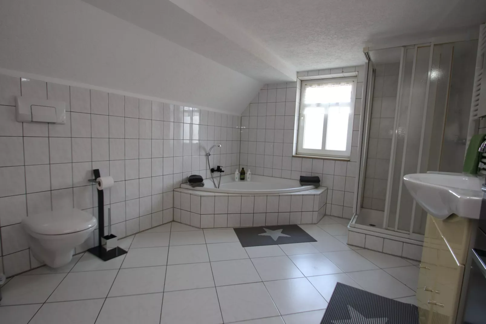 DG Ferienwohnung Elbingerode am Brocken - Bathroom