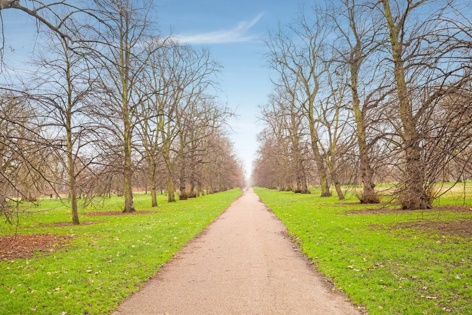 Standard Triple Room - Gardens in summer
