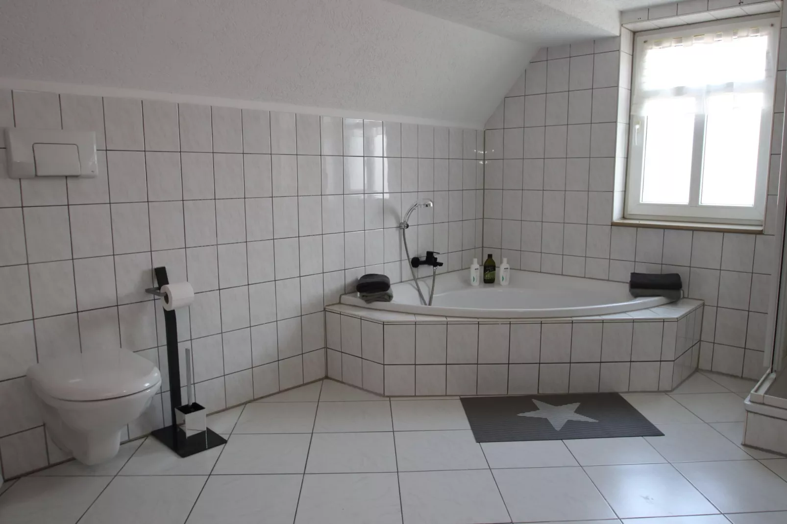 DG Ferienwohnung Elbingerode am Brocken - Bathroom