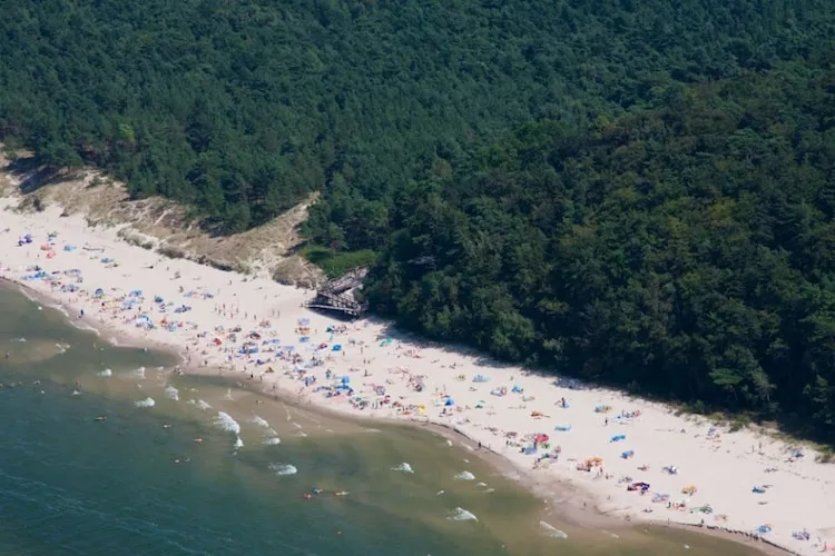 Apartament Wisełka  Lew 1 parter - Gebiete Sommer 5 km