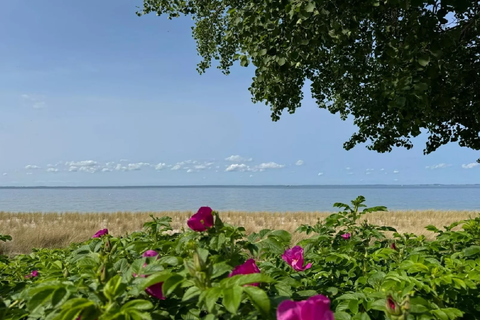 Doppelhaushälfte rechts - Gebiete Sommer 1 km