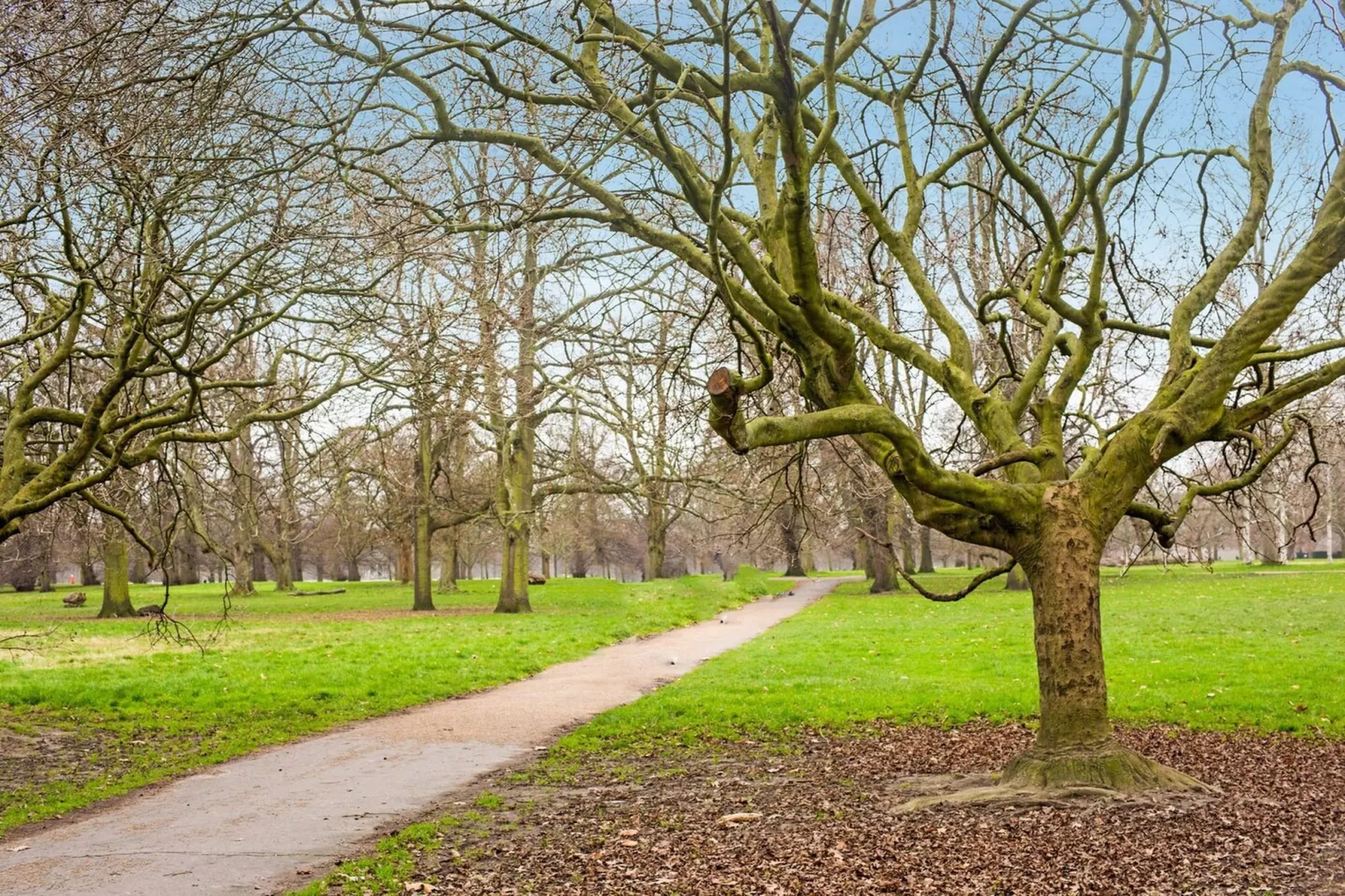 Superior Quad Room - Garten Sommer