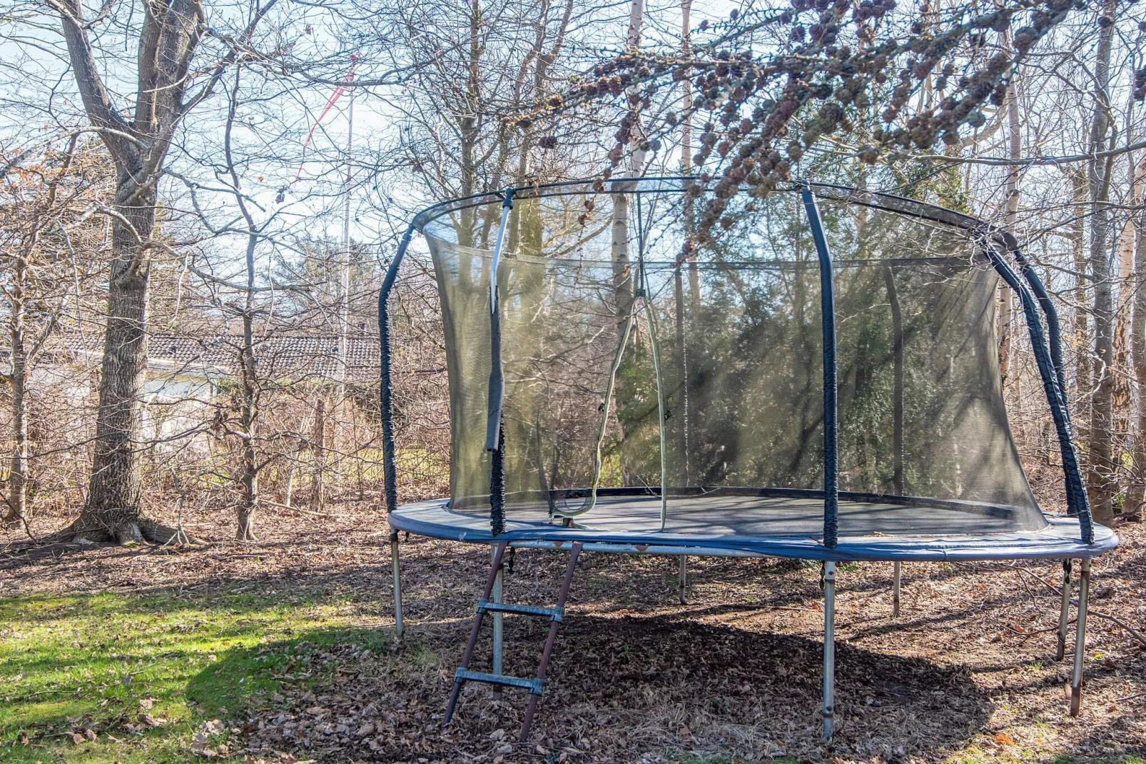 4 Sterne Ferienhaus in Grenaa - Aussicht