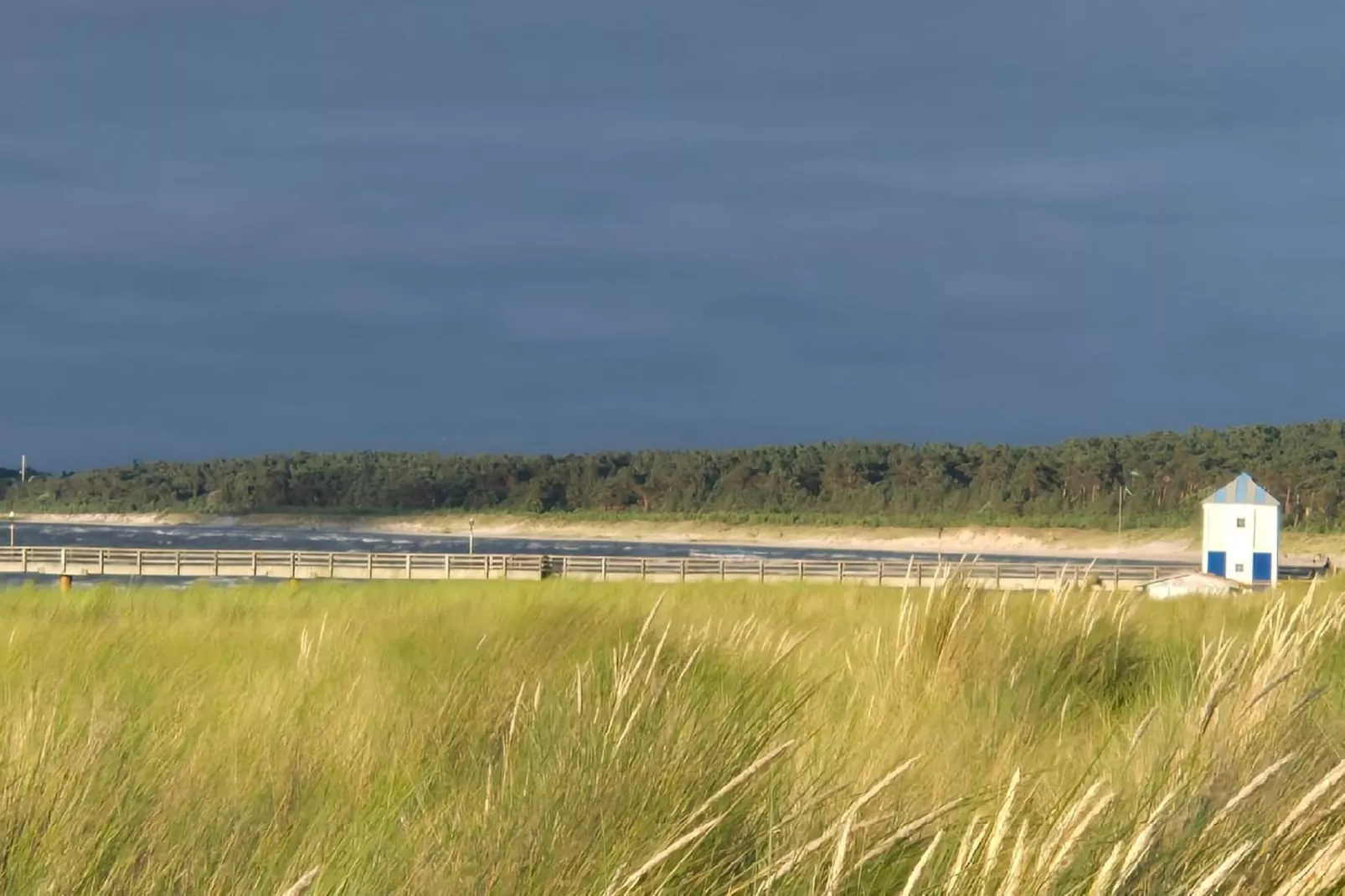 Doppelhaushälfte links - Areas within 1km in summer