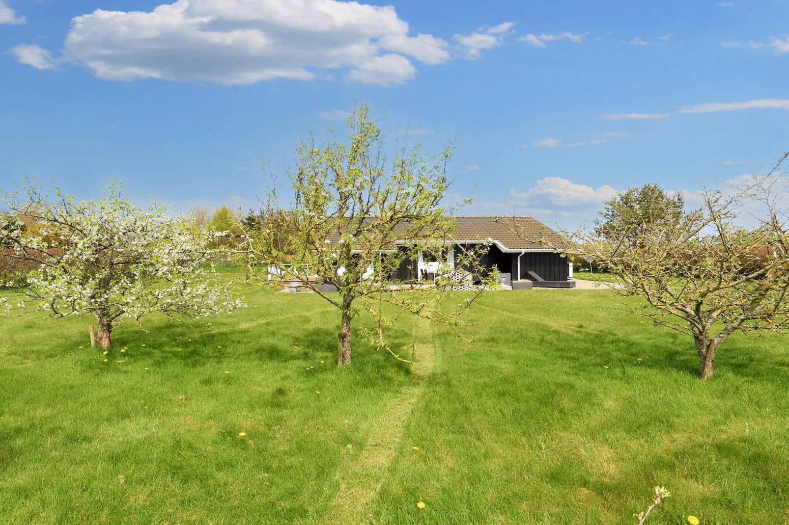 Maison de vacances pour 6 a Hadsund-By Traum - Vue