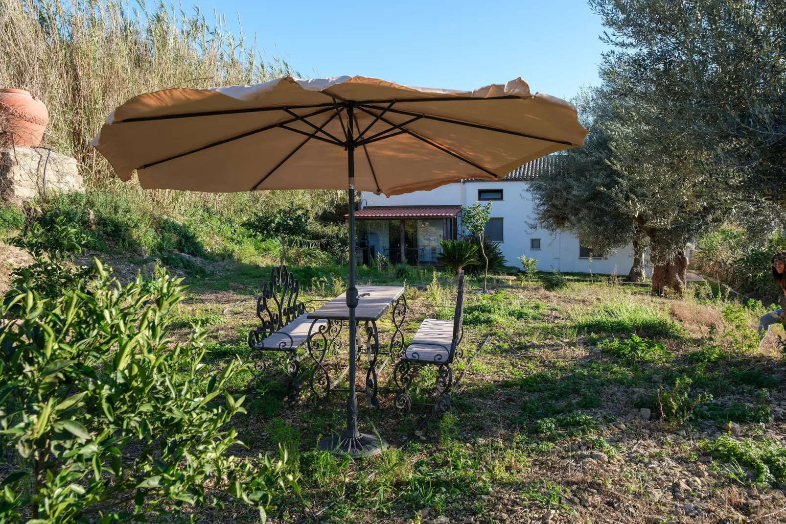 Sogno di Giove Casa Venere - Garten Sommer