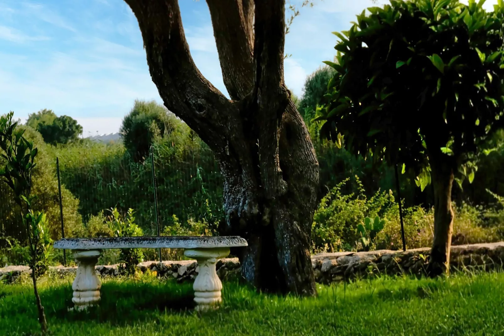 Sogno di Giove Casa Venere - Garten Sommer