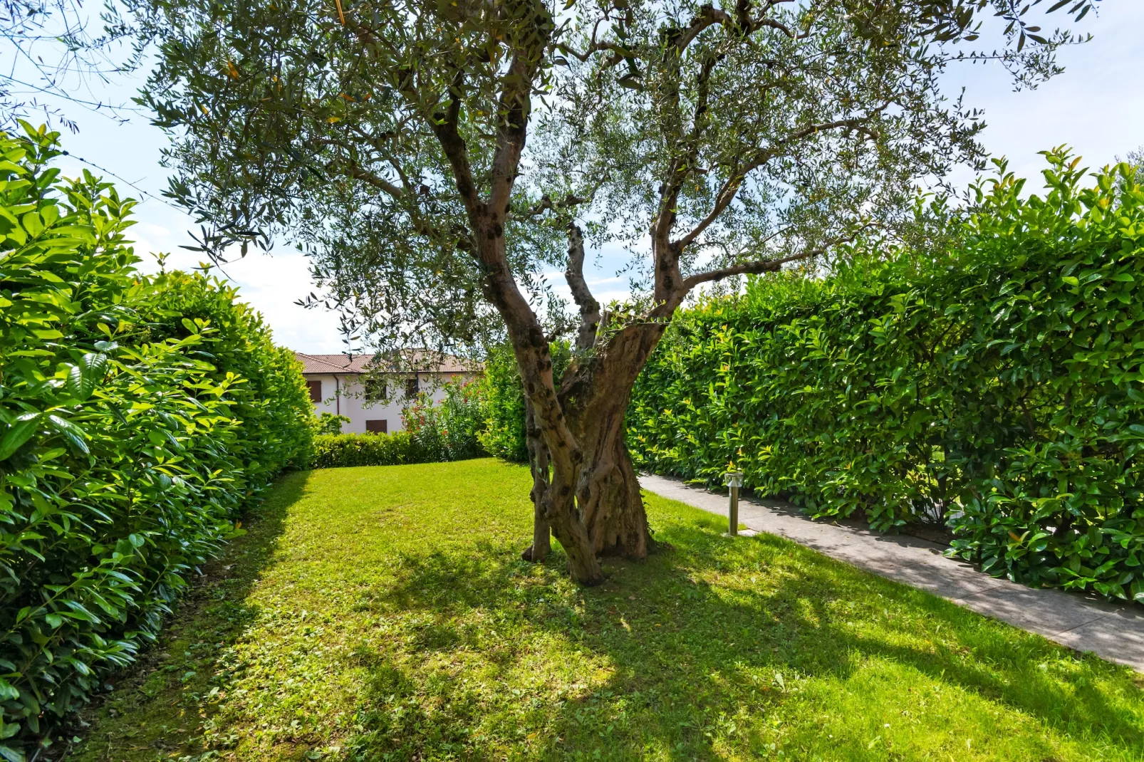 Bardolino Trentanove - Garten Sommer