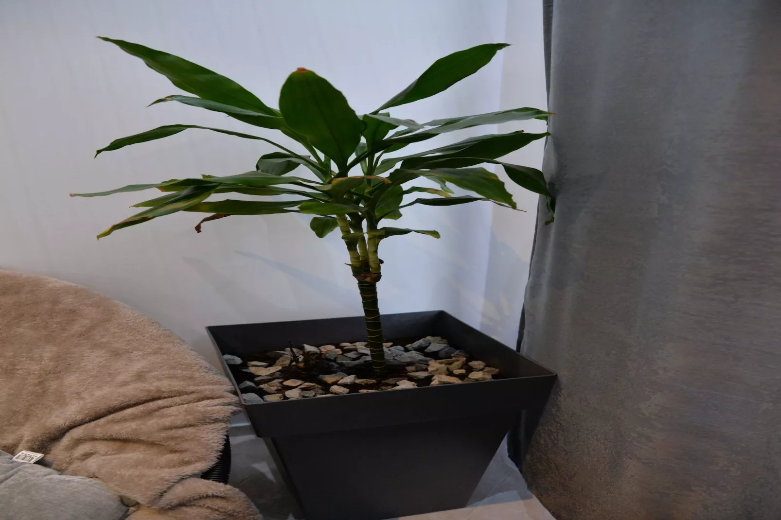 Room Marsonia - Double Room - Intérieur