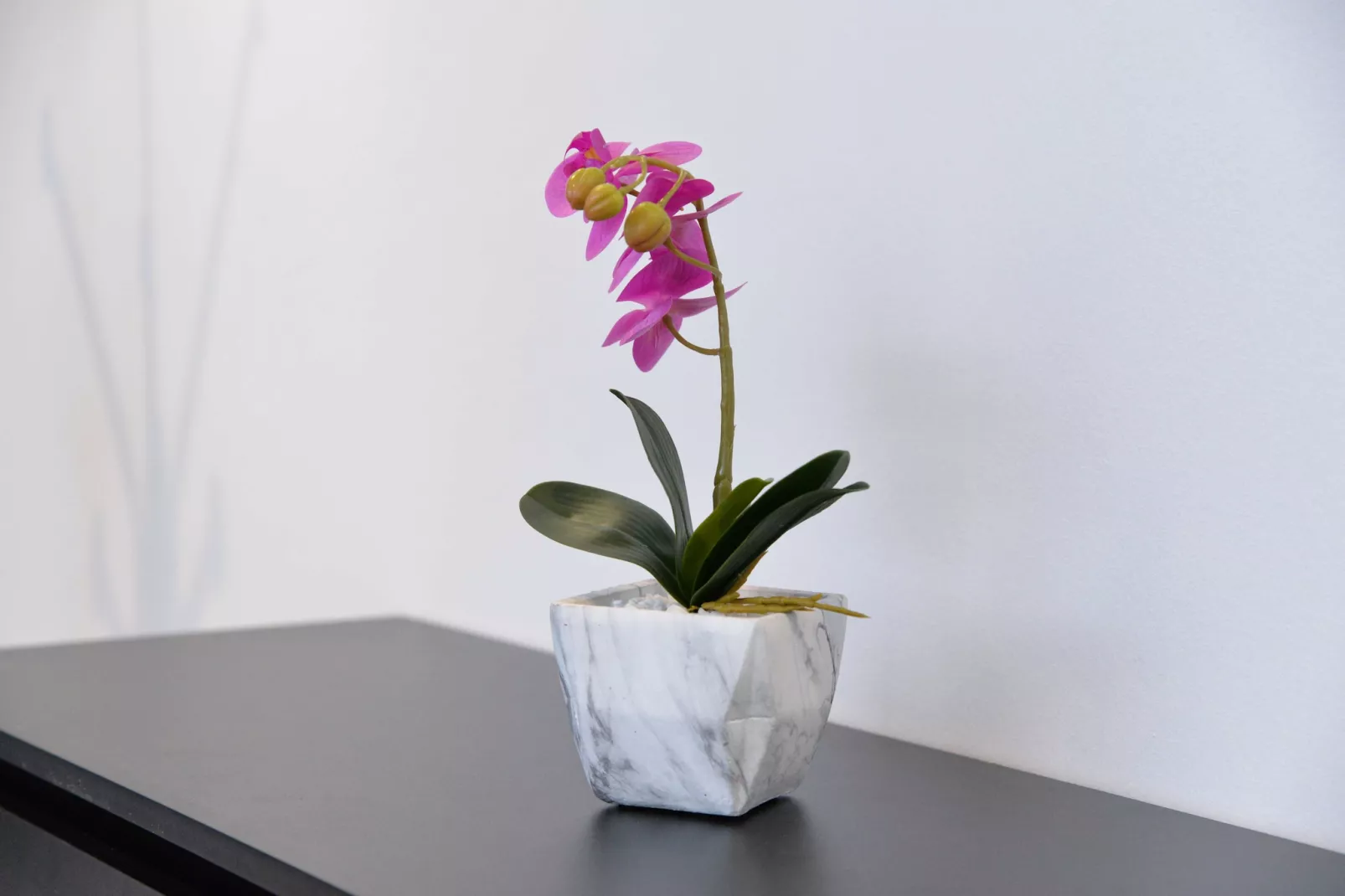 Room Marsonia - Double Room - Intérieur