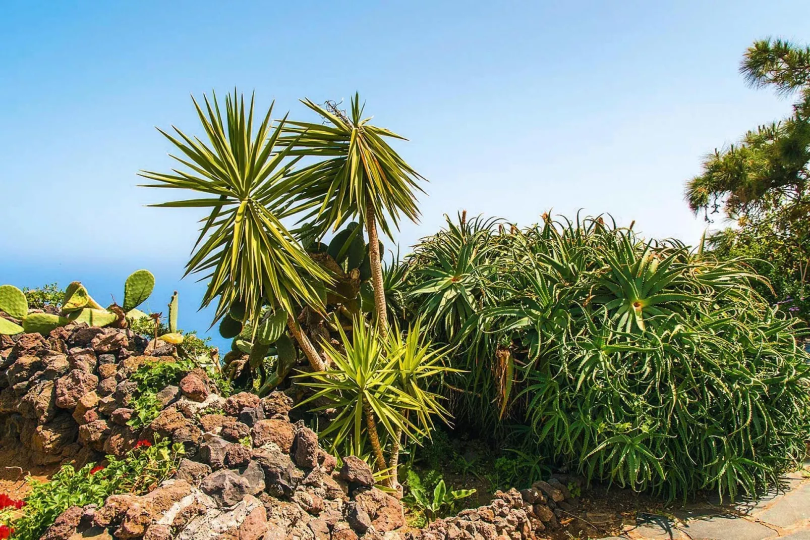 Finca La Hoya / 3-4 Personen-3-4 Personen-3-4 Personen - Jardins en été
