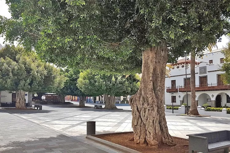 Apartment Atico La Plaza - Areas within 1km in summer
