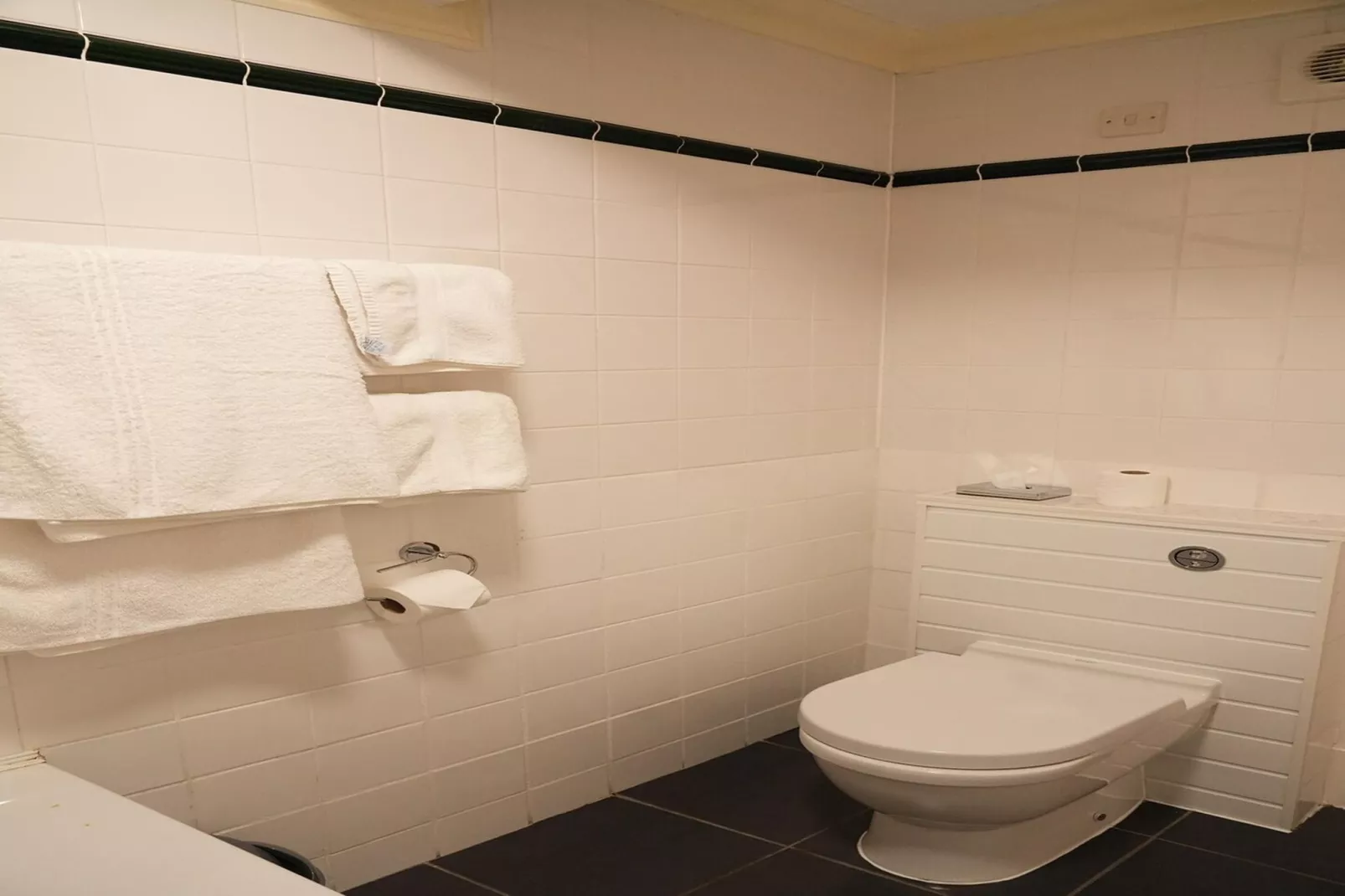 Standard Single Room - Salle de bain